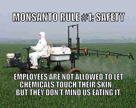 Monsanto Safety Rule